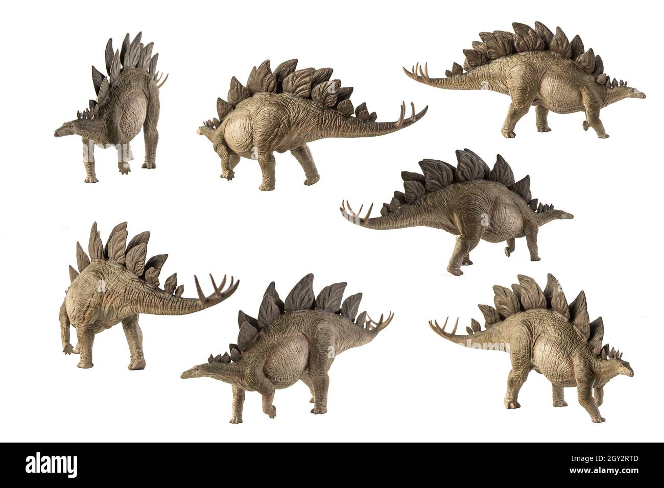 Stegosaurus Dinosaur on white background Stock Photo - Alamy