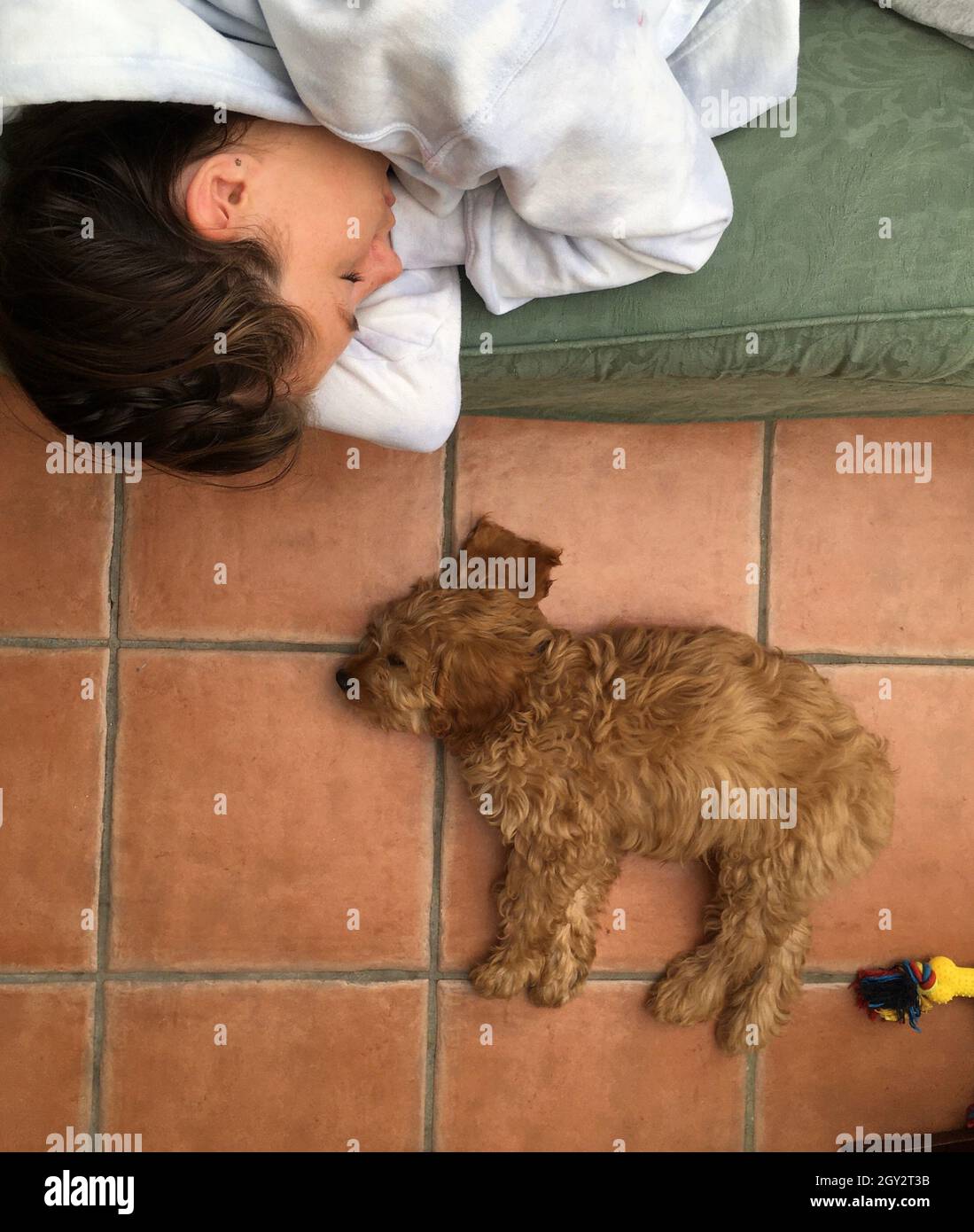 Young girl sleeping with her puppy Stock Photo