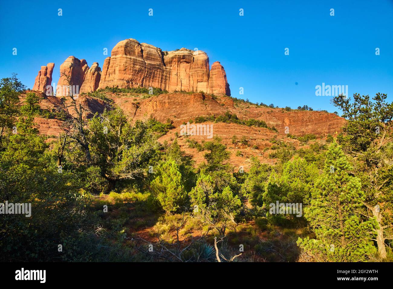 Worm's eye view of an orange Bell Rock peak with trees in the foreground Stock Photo