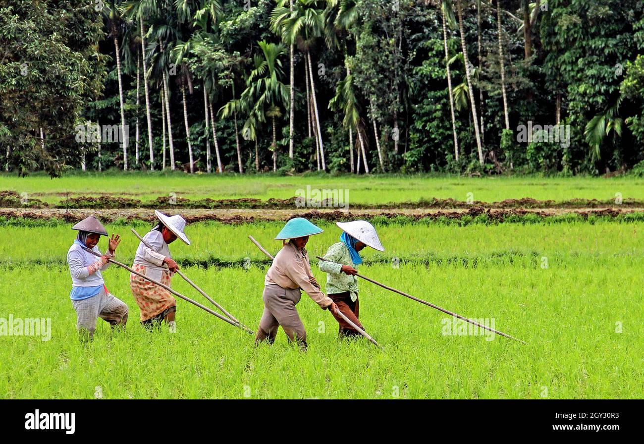 Farmer farmers wearing hat hi-res stock photography and images