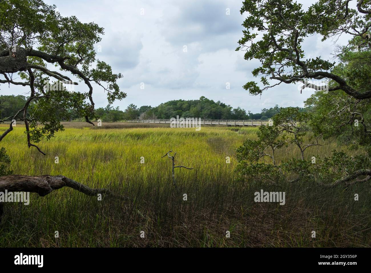 Vereen Memorial Gardens, Little River, South Carolina, United States