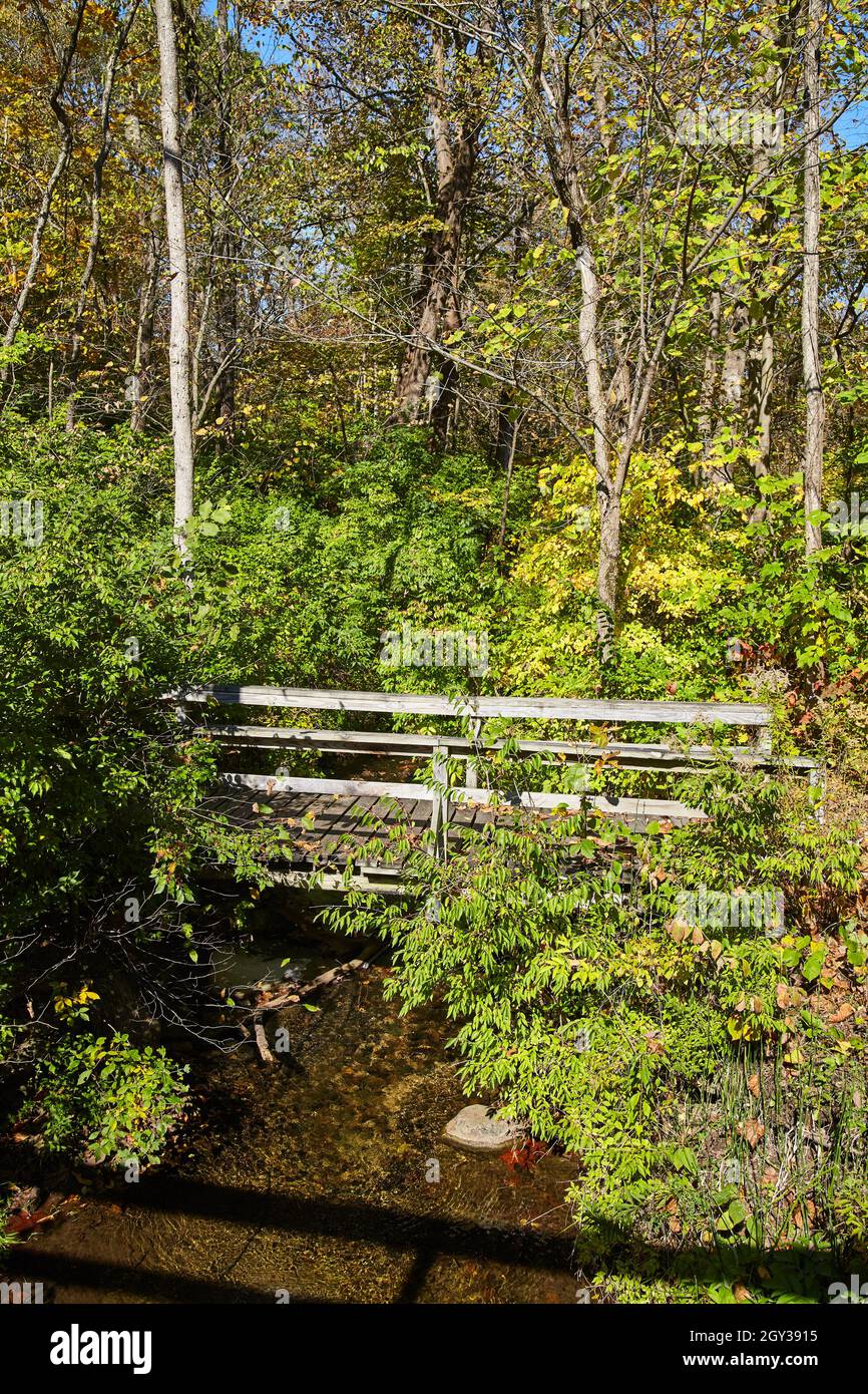 Walking bridge over creek in hi-res stock photography and images - Alamy