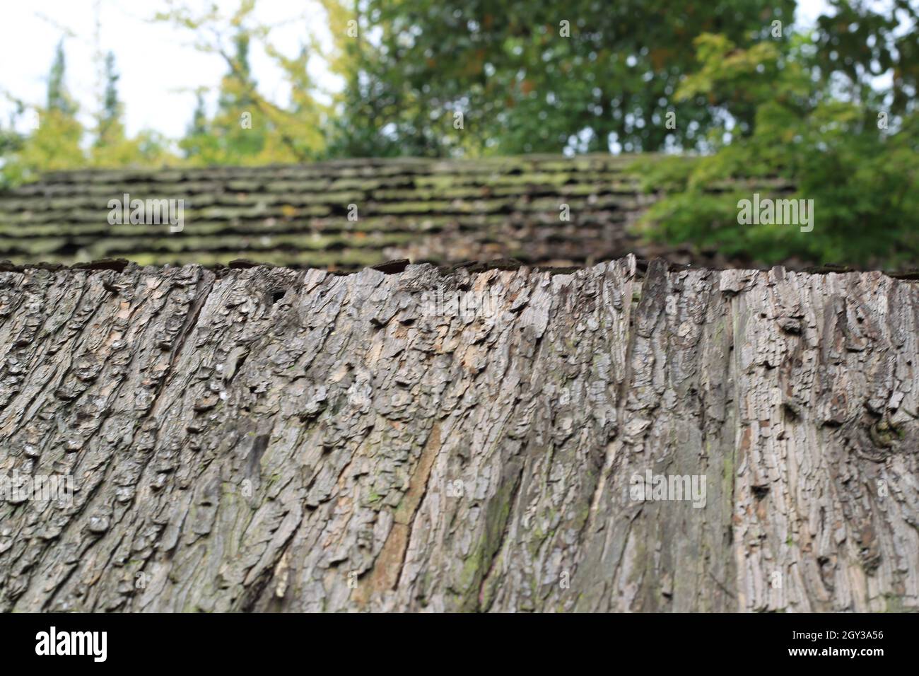 Old Wooden Roof Stock Photo Alamy