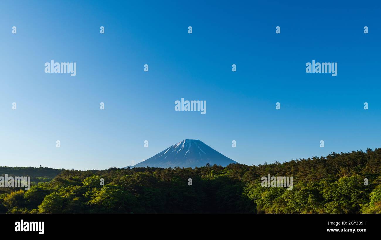 Morning view of Mount Fuji from lake Shoji, Yamanashi Prefecture, Japan Stock Photo