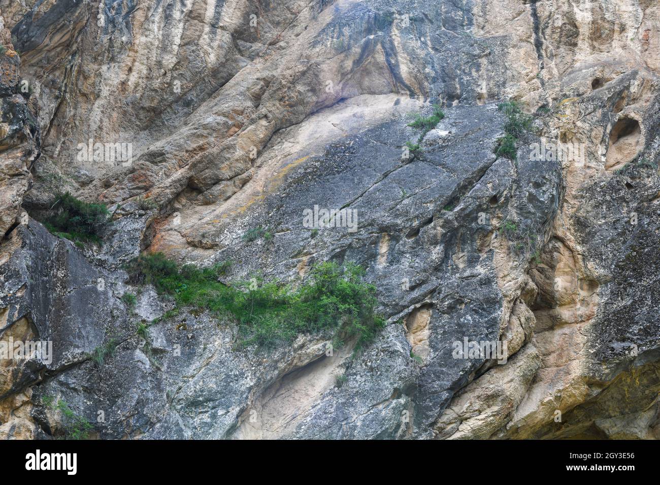Texture of sheer rock with some green vegetation Stock Photo