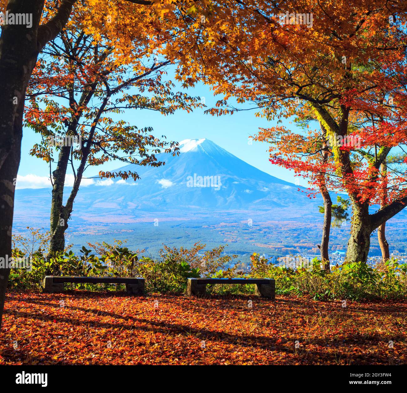 The Mountain Fuji and maple tree in Japan Stock Photo - Alamy