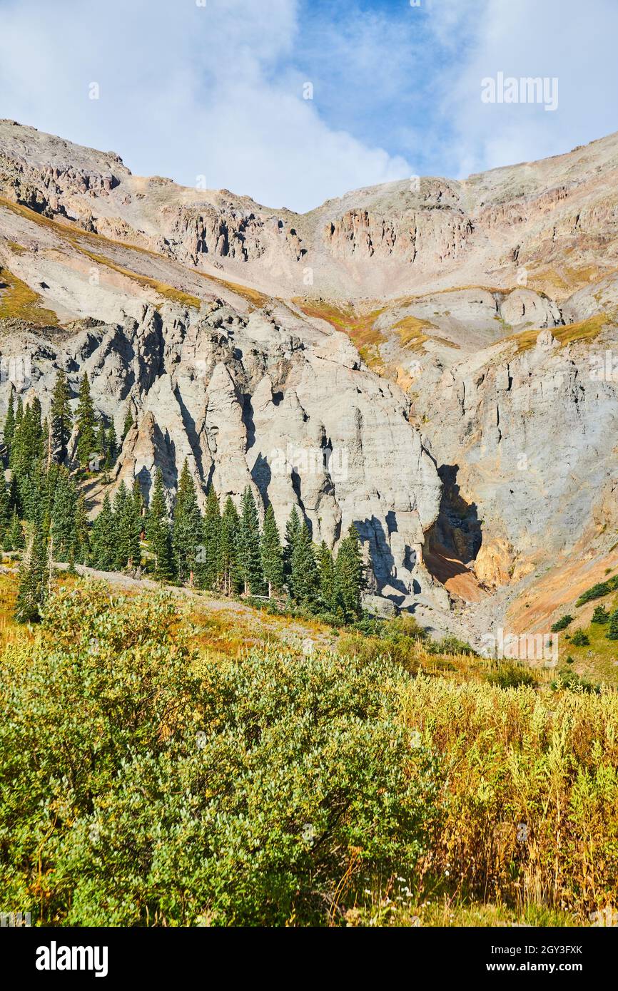 View of gray mountain peaks in early fall with pine trees and growth