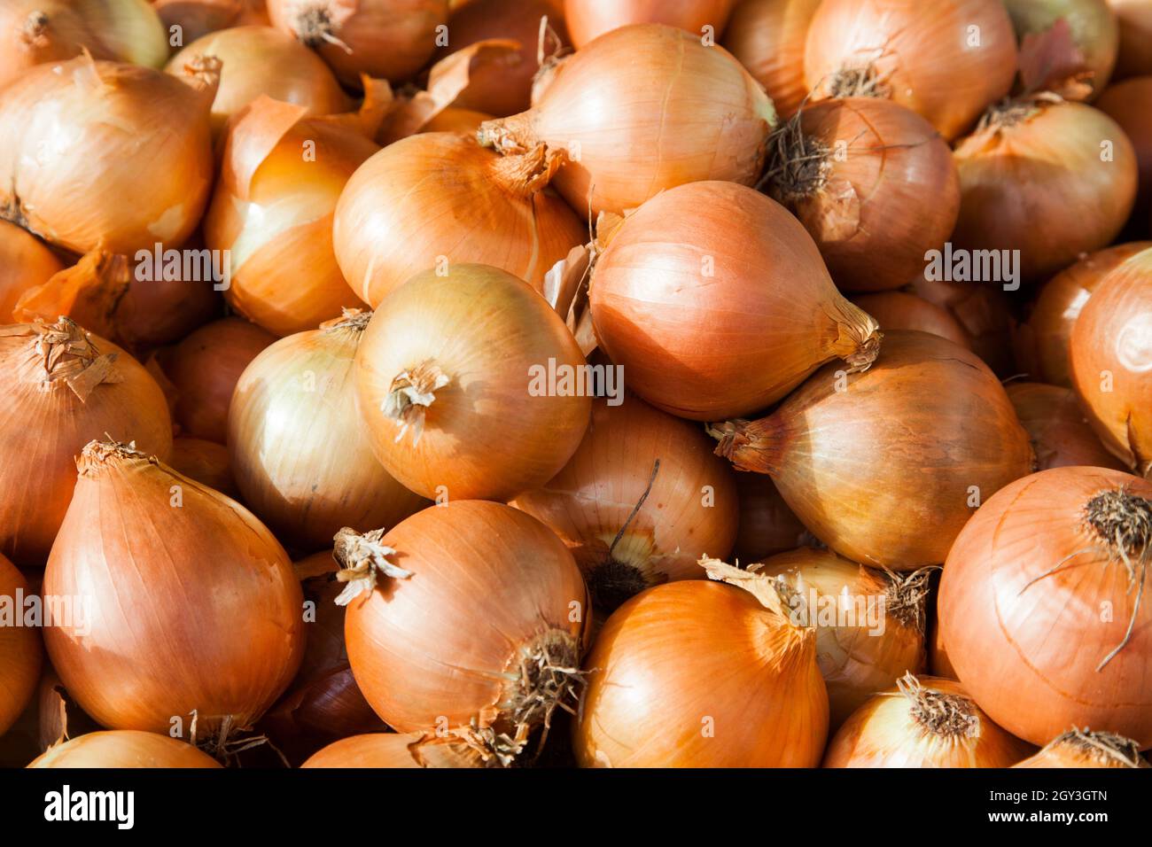 pile of onions Stock Photo