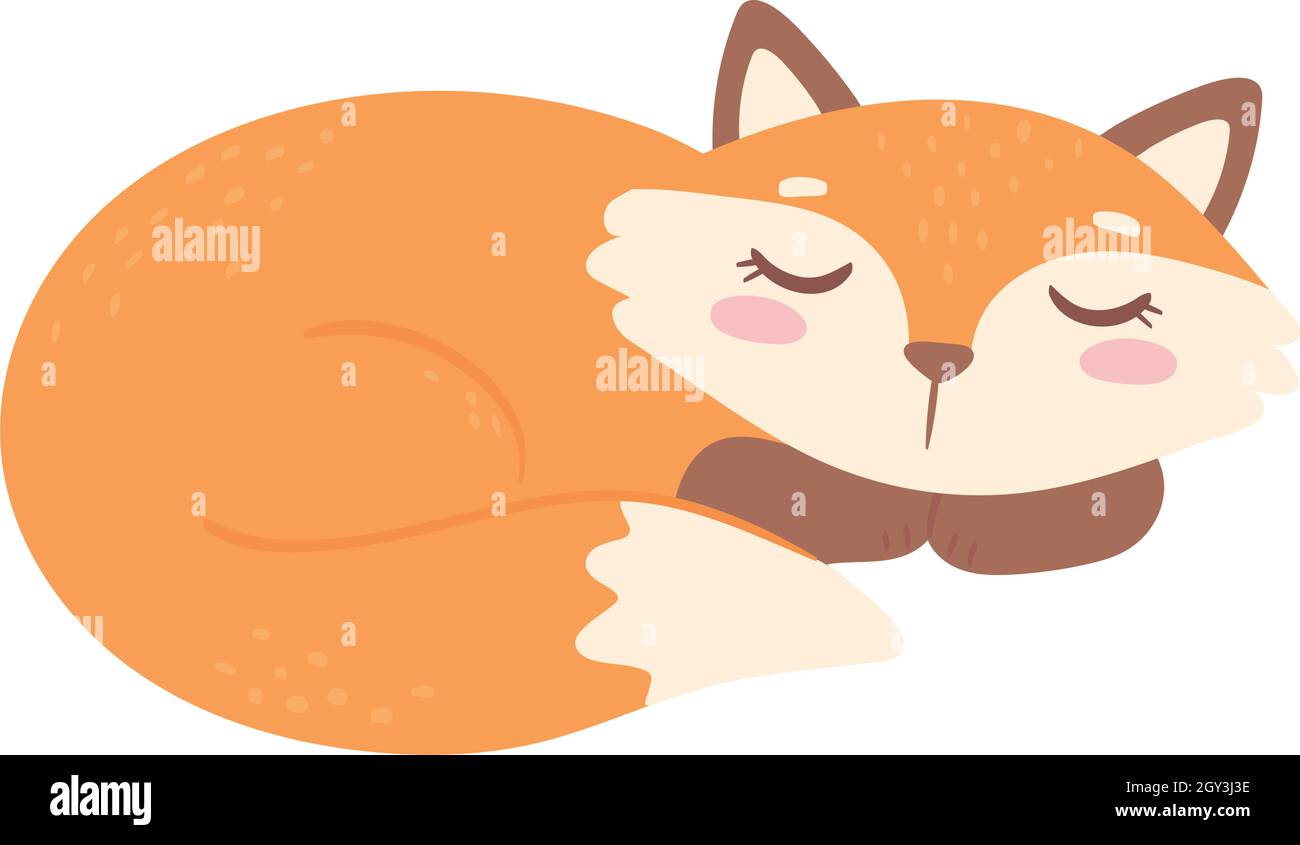 sleeping fox animal Stock Vector Image & Art - Alamy