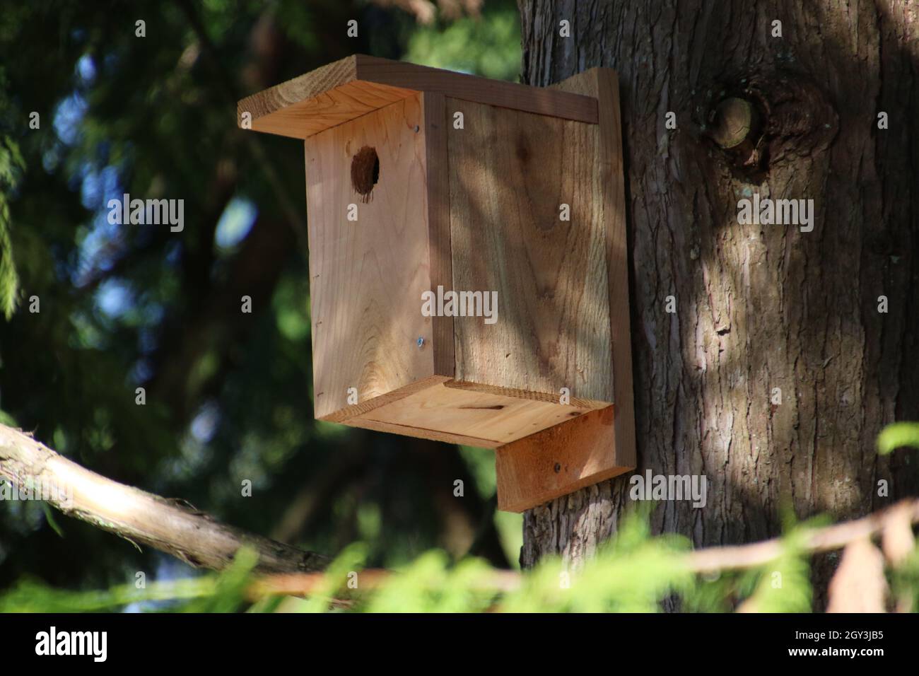 A new cedar birdhouse attached to a tree Stock Photo Alamy