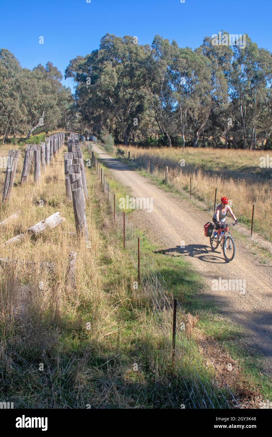 Cycling on the Great Victorian Rail Trail Stock Photo Alamy