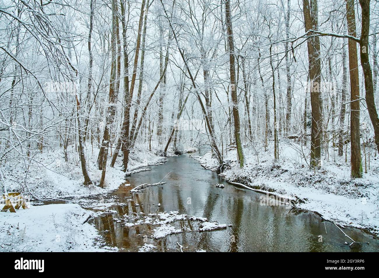 Branch in ice of river with snow in forest hi-res stock photography and ...
