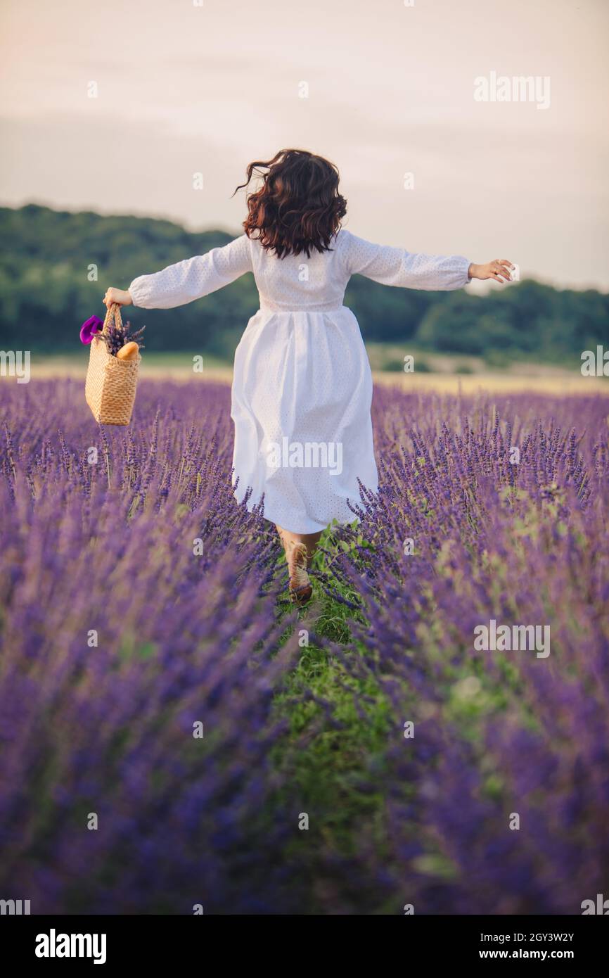 gorgeous woman in white dress at lavender field sunset time Stock Photo ...