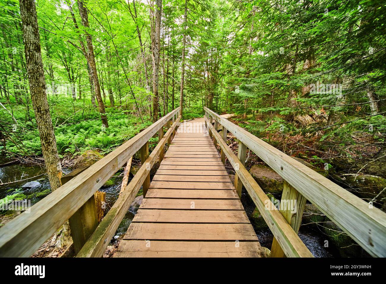 Wood boardwalk walking bridge over creek in woods Stock Photo