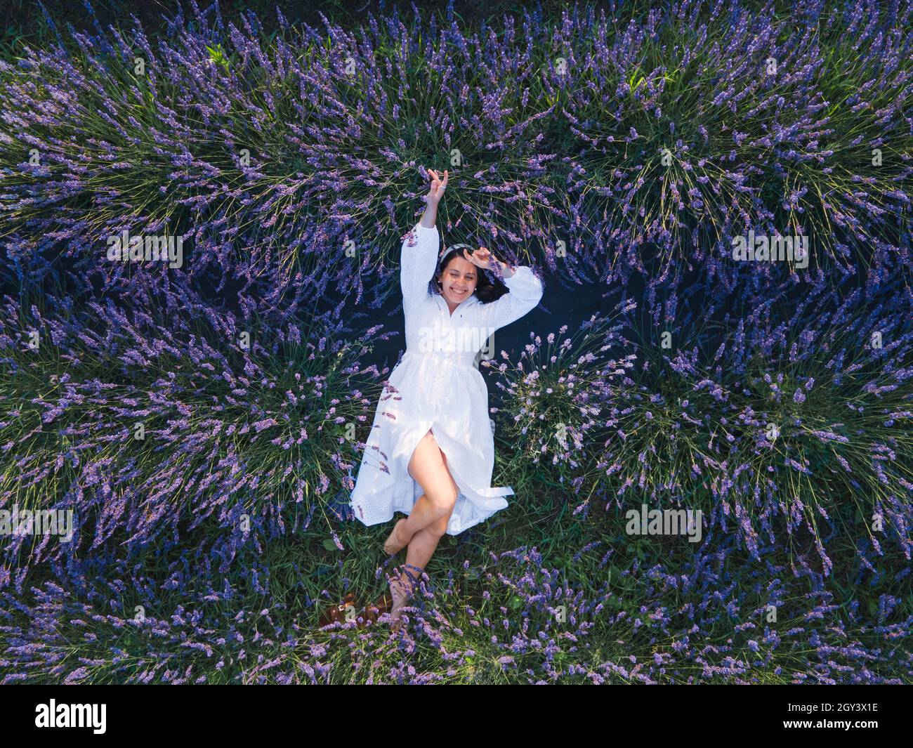 gorgeous woman in white dress at lavender field sunset time Stock Photo ...