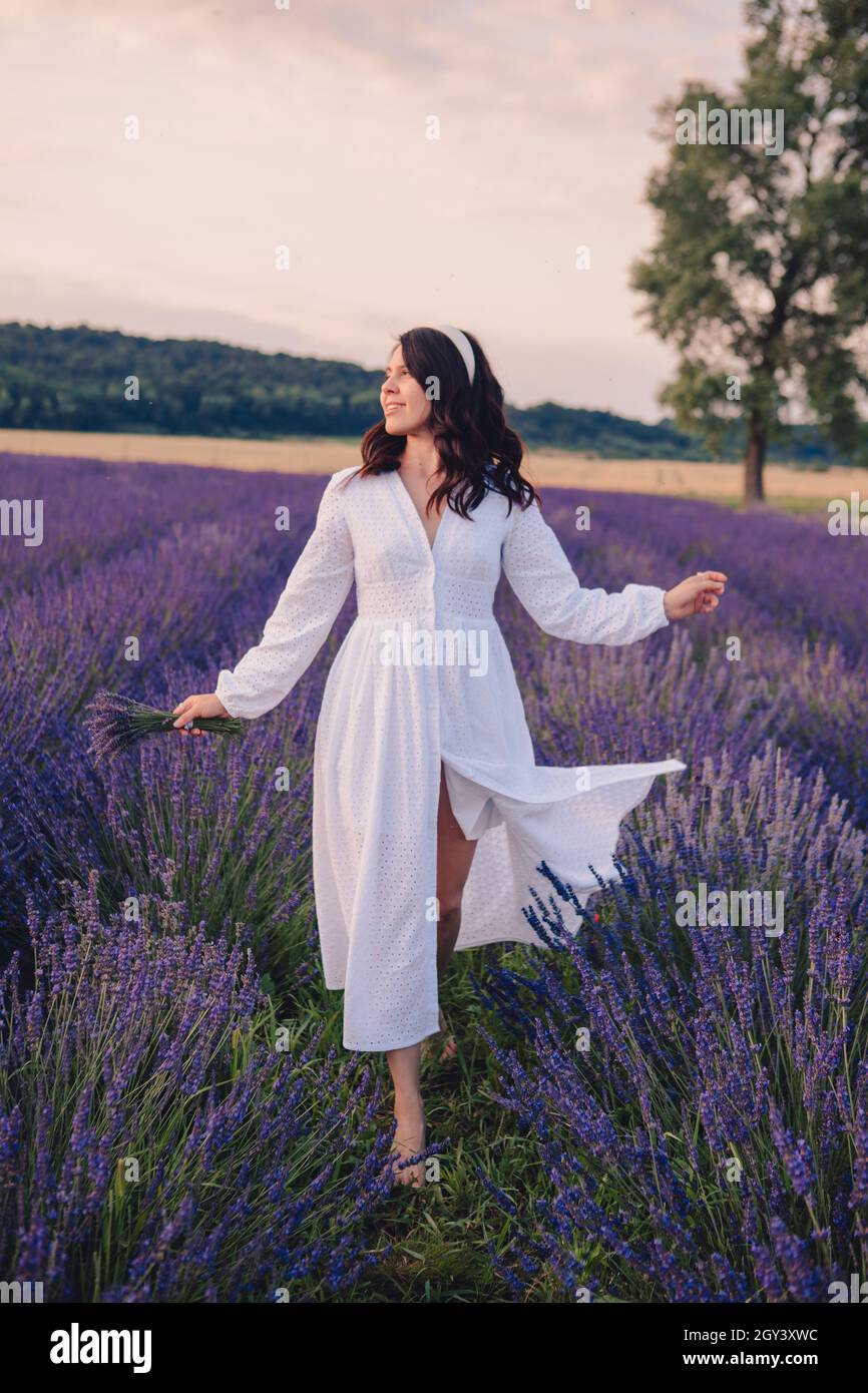 gorgeous woman in white dress at lavender field sunset time Stock Photo ...
