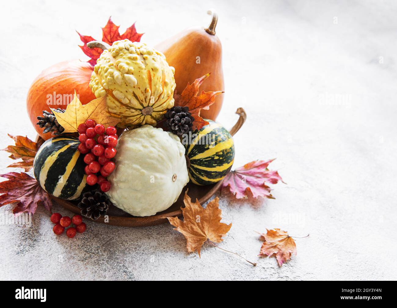Fall composition with multi color pumpkins on rustic background Stock ...