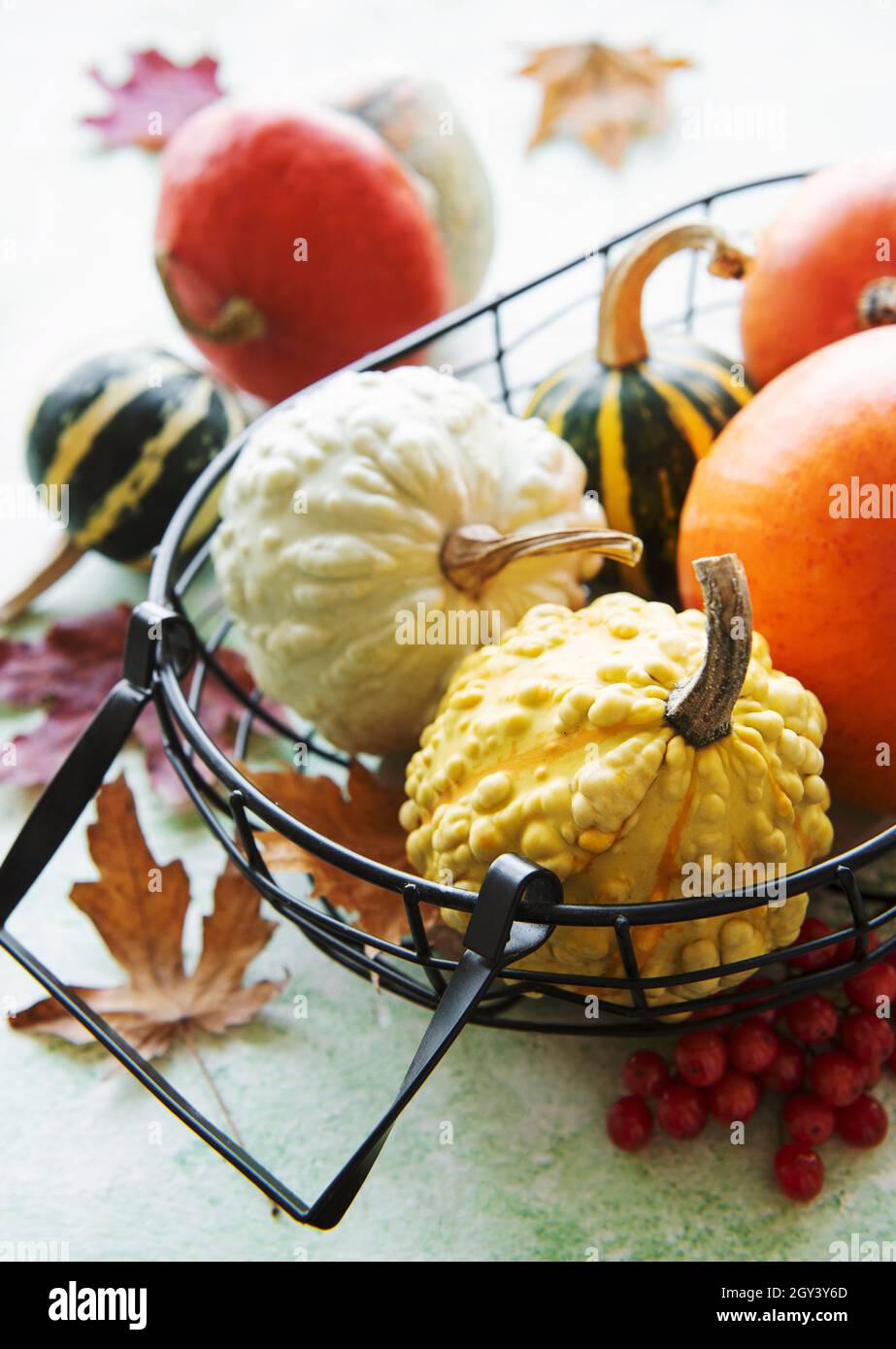 Fall composition with multi color pumpkins on rustic background Stock ...