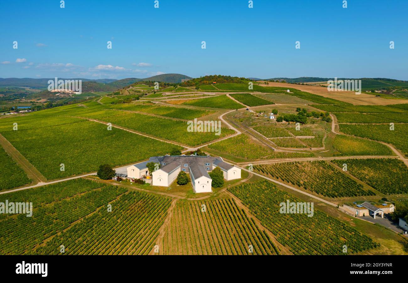 Vineyards in Tokaj region Hungary. Famous wine-producing countryside which a part of Unesco world heritage site. Many world famous sweet wine make her Stock Photo