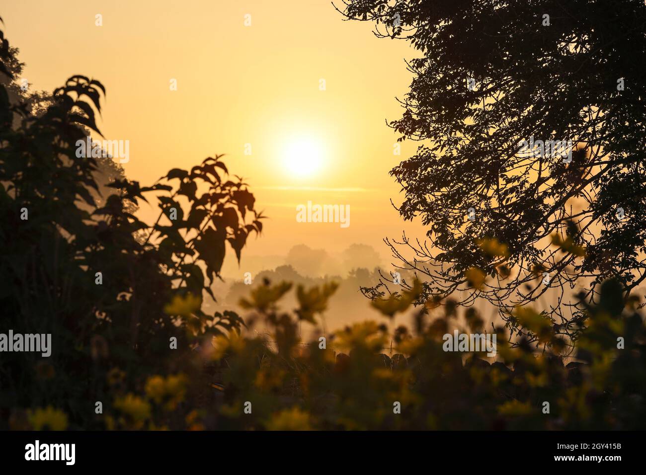 Colourful Misty Morning Sunrise, Teesdale, County Durham, UK Stock Photo