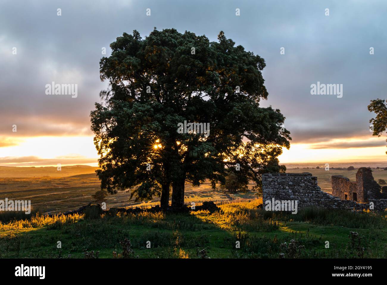 The Rising Sun Illuminating the Abandoned Farmstead of East Loups’s on Loups’s Hill, Teesdale, County Durham, UK Stock Photo