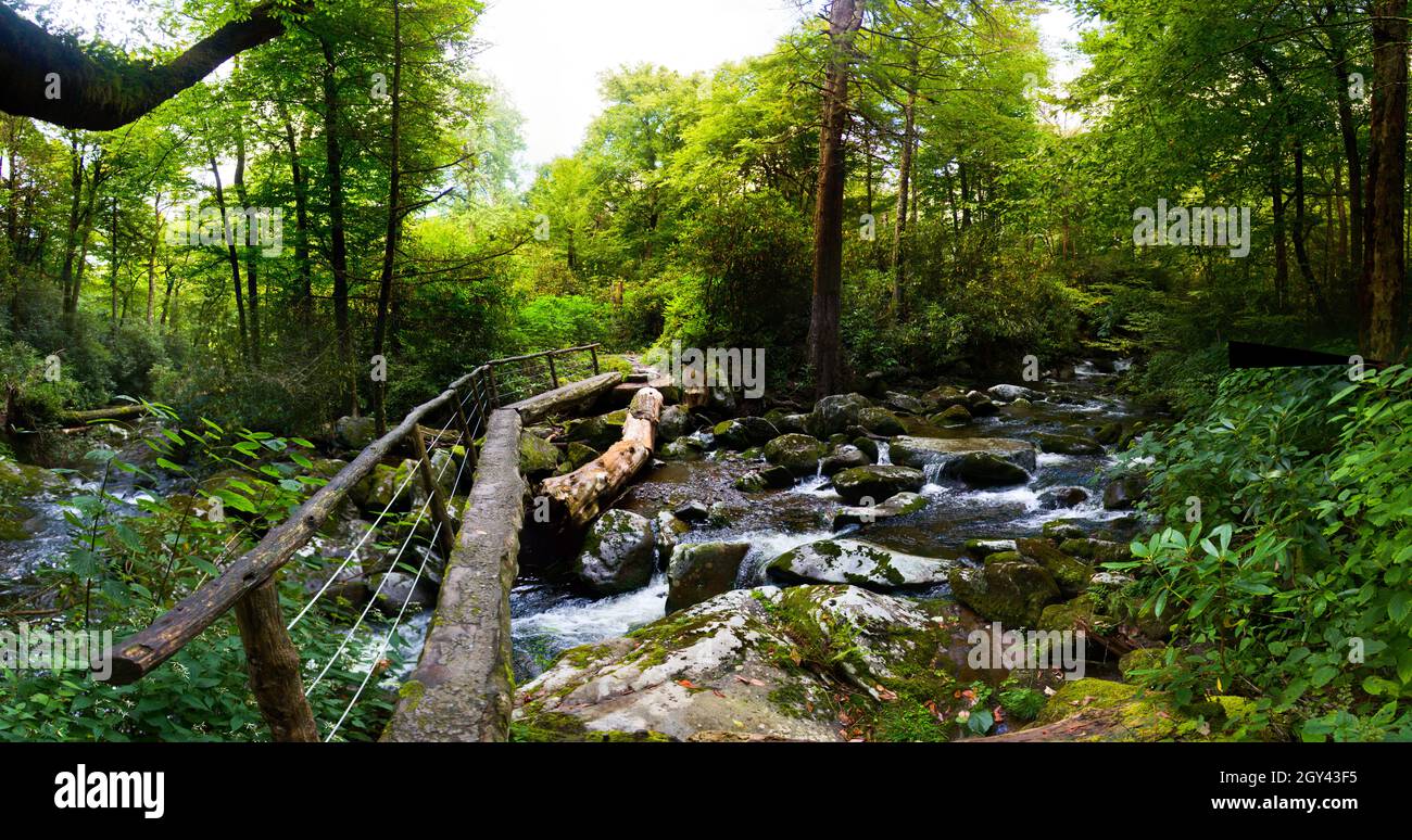 Panorama of a shallow river running over rocks with a narrow wooden ...