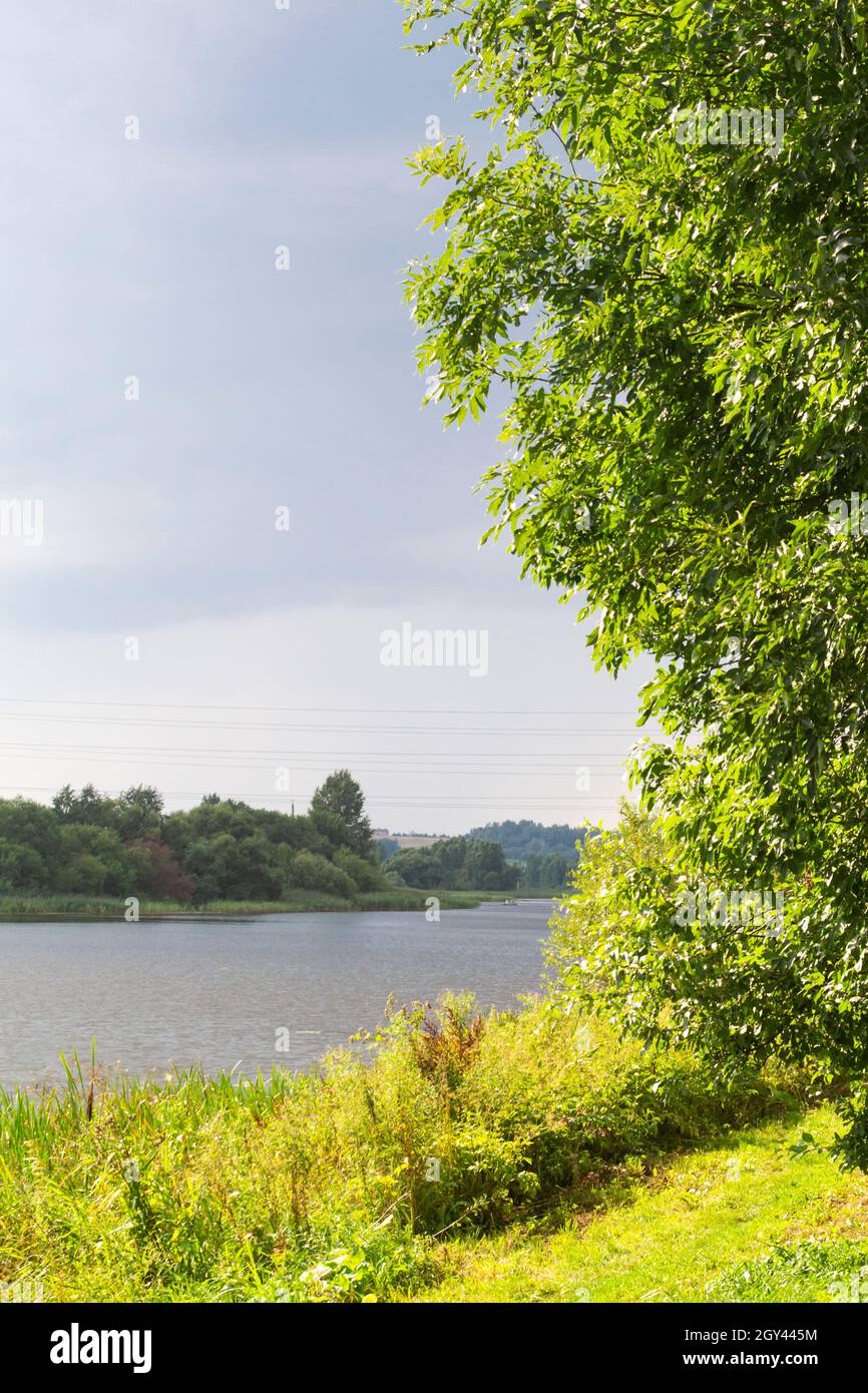 Landscape with a small river, forest in summer day. Rivers of Belarus ...