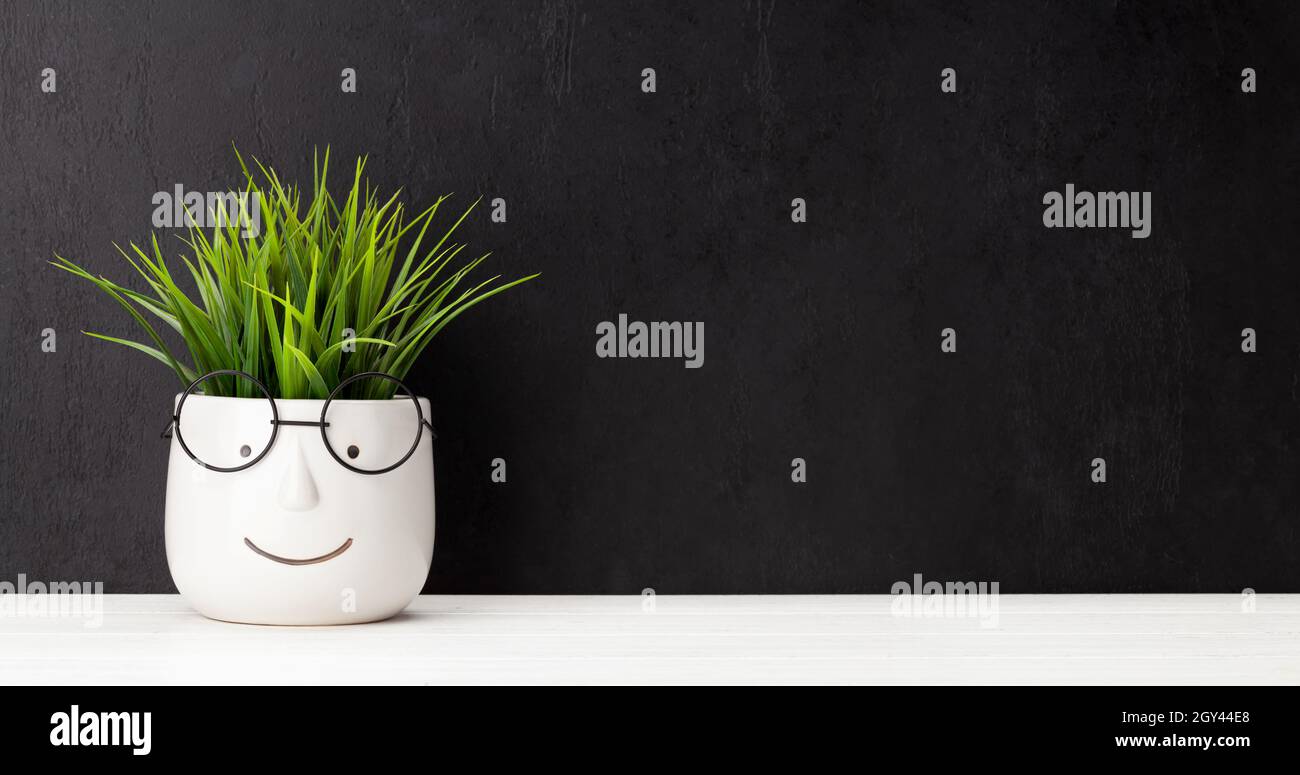 Plant with glasses in front of chalkboard wall. Work and education