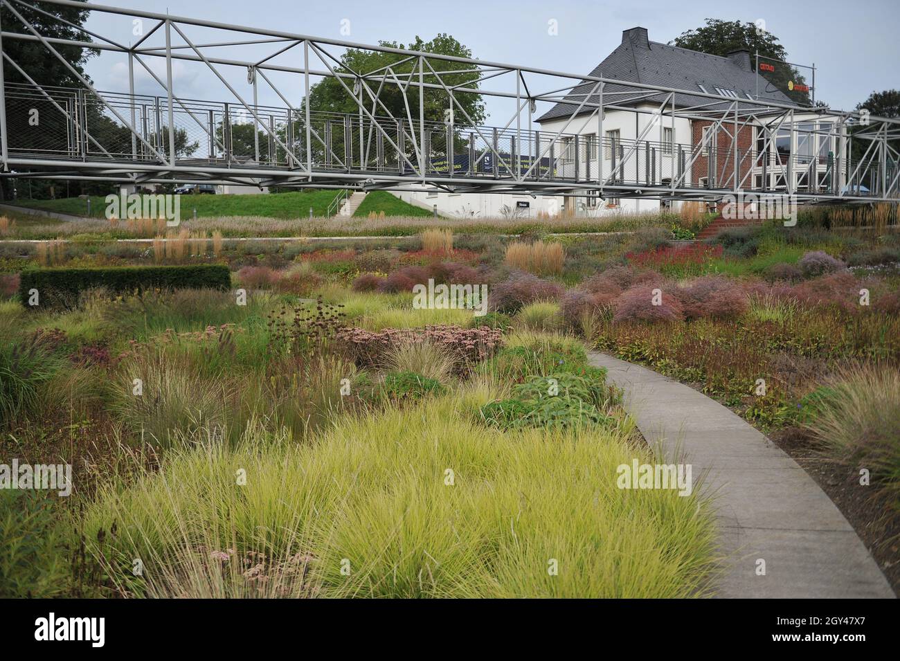 BOTTROP, GERMANY - 21 AUGUST 2021: Planting in perennial meadow style designed by Piet Oudolf in the public Berne Park Stock Photo