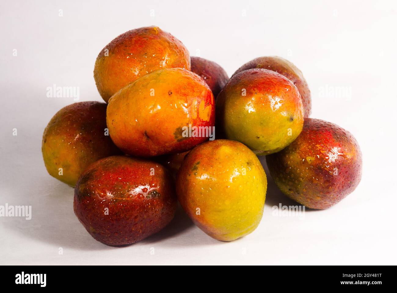Jocotes outlet