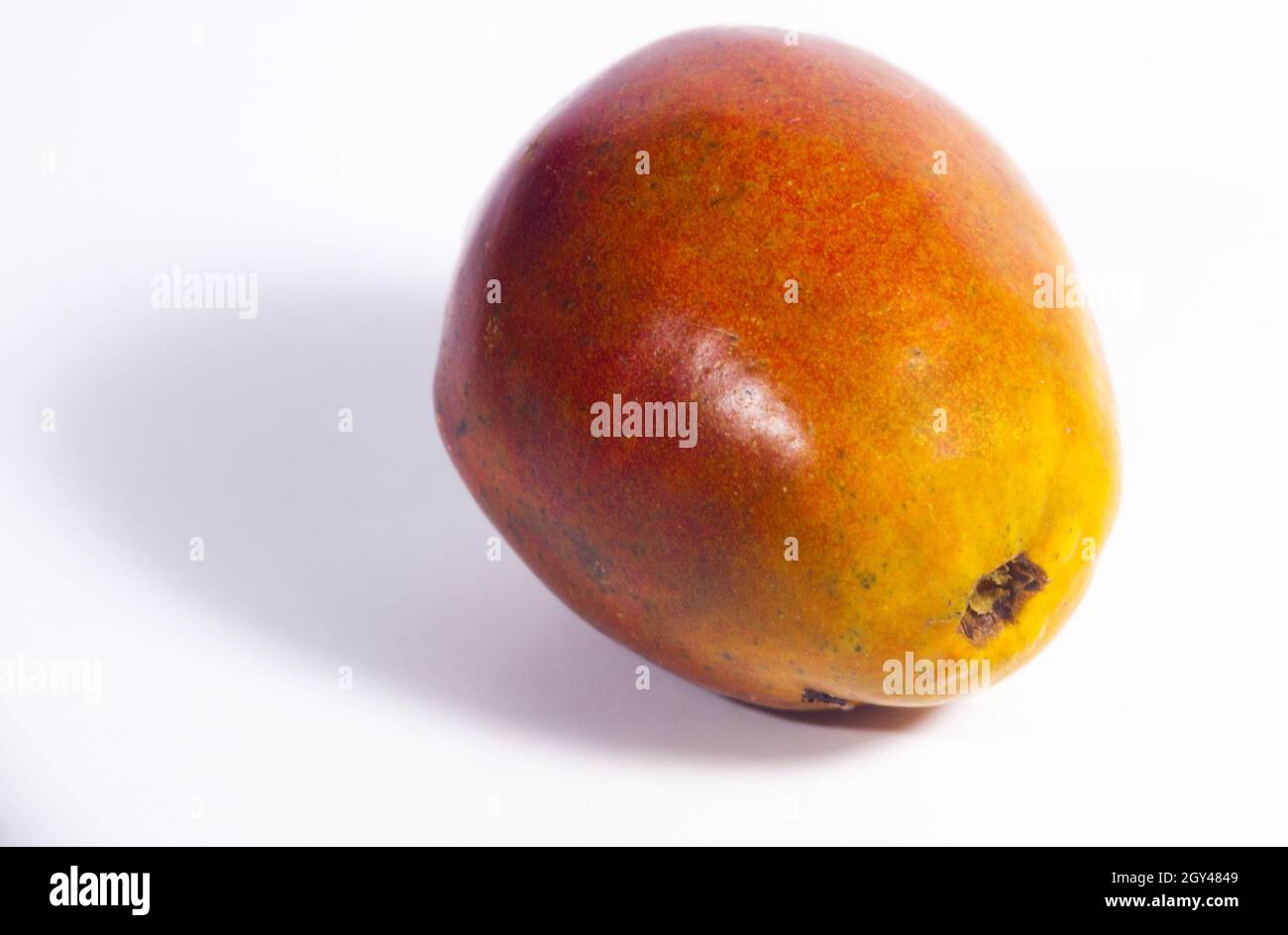 Jocotes in Guatemala, tropical fruit, Spondias purpurea Stock Photo - Alamy