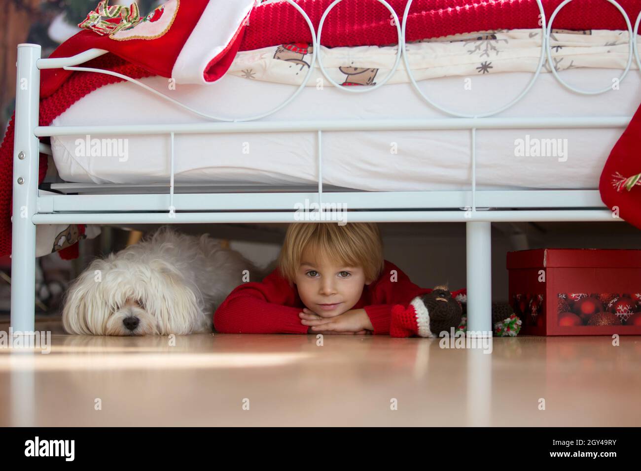 How Do I Stop My Child Being Scared Of Dogs