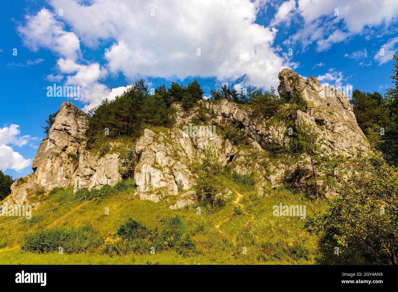 Grupa Zabiego Konia limestone rock massif with Mnich and Zabi Kon rock in Kobylanska Valley within Jura Krakowsko-Czestochowska upland near Cracow in Stock Photo