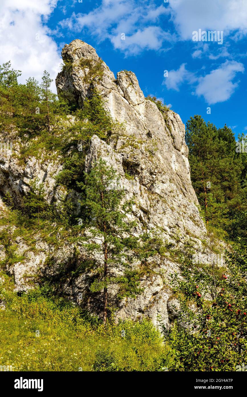 Monk limestone rock massif known as Mnich in Kobylanska Valley within Jura Krakowsko-Czestochowska upland near Cracow in Lesser Poland Stock Photo