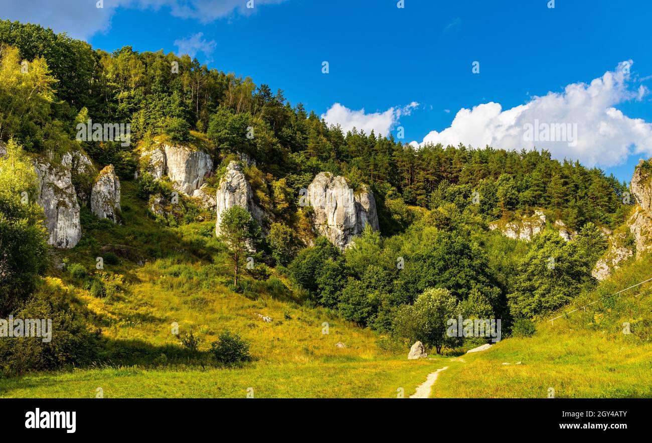 Turnia Marcinkiewicza, Garaz, Mala Plyta and other limestone rocks in Kobylanska Valley in Jura Krakowsko-Czestochowska upland near Cracow in Poland Stock Photo