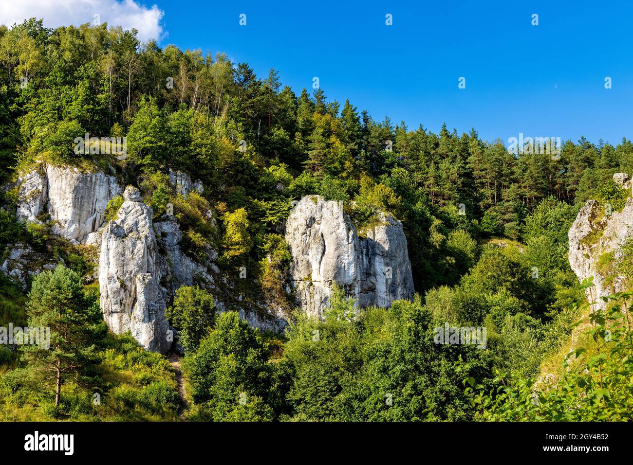 Turnia Marcinkiewicza, Garaz, Mala Plyta and other limestone rocks in Kobylanska Valley in Jura Krakowsko-Czestochowska upland near Cracow in Poland Stock Photo