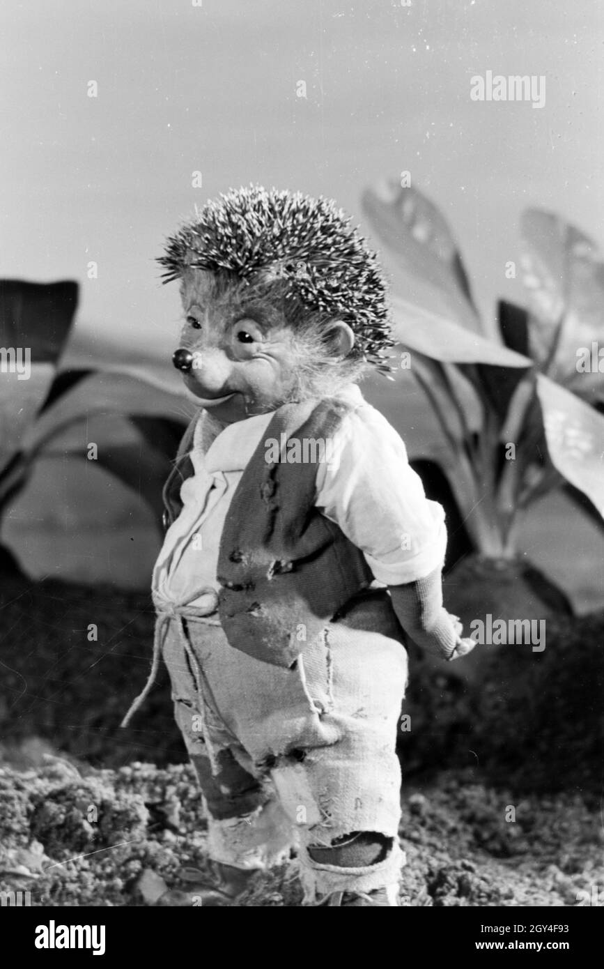  Cartoon igel hi-res stock photography and images - Alamy Motiv 