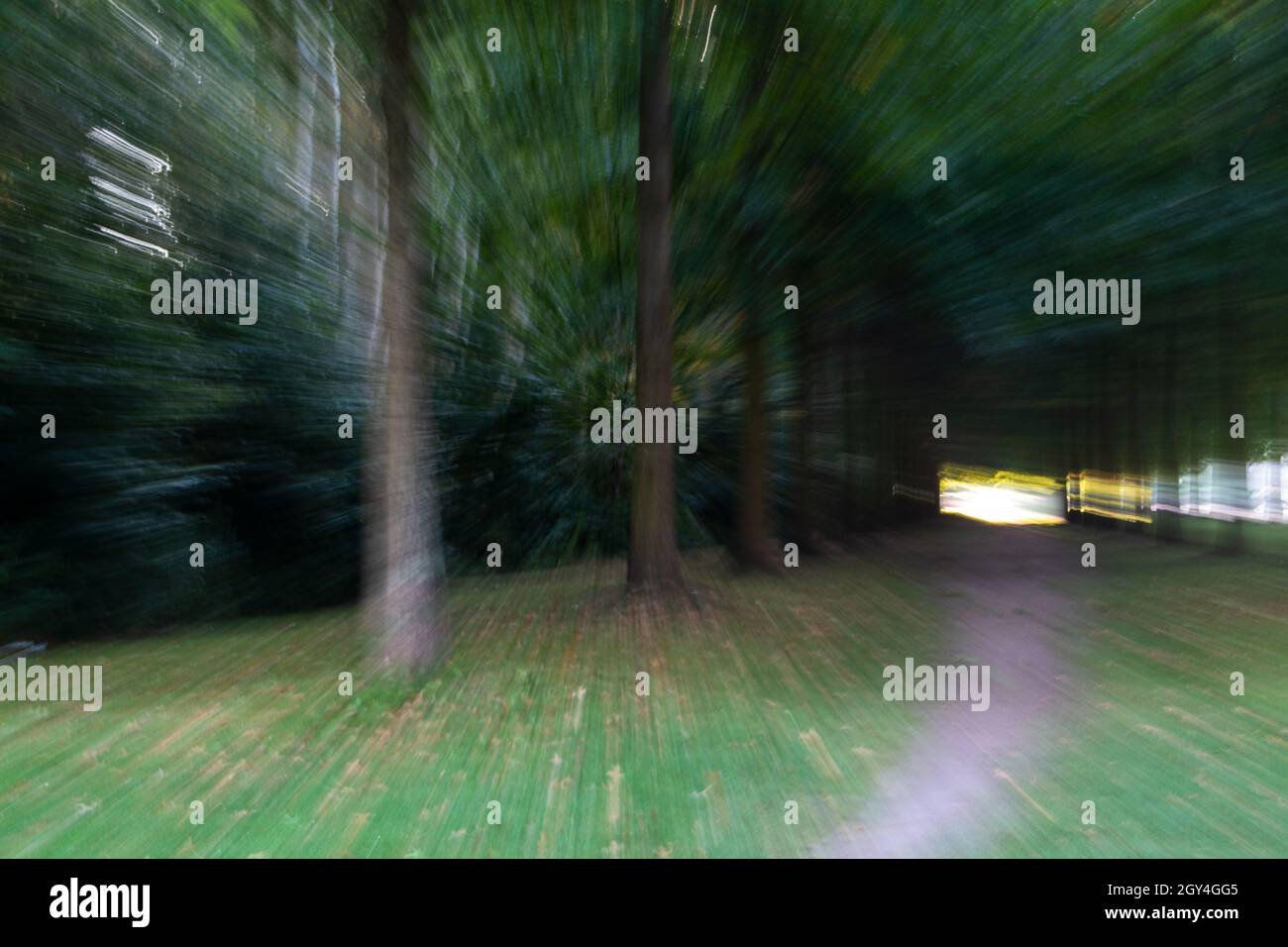 Ein Landschaftsbild mit viel Dynamik, ein Pfad rechts und links davon stehen Bäume es wirkt wie eine kleine Allee oder auch wie ein Tunnel aus Bäumen . Stock Photo