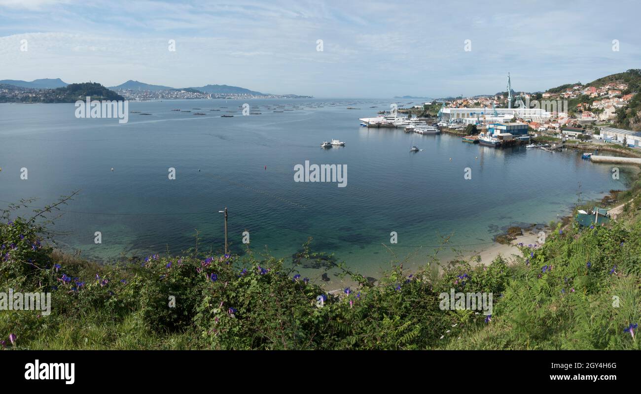 Panoramic view of the port of Moaña at Ria de Vigo, with mussel farms, Pontevedra, Galicia, Spain. Stock Photo