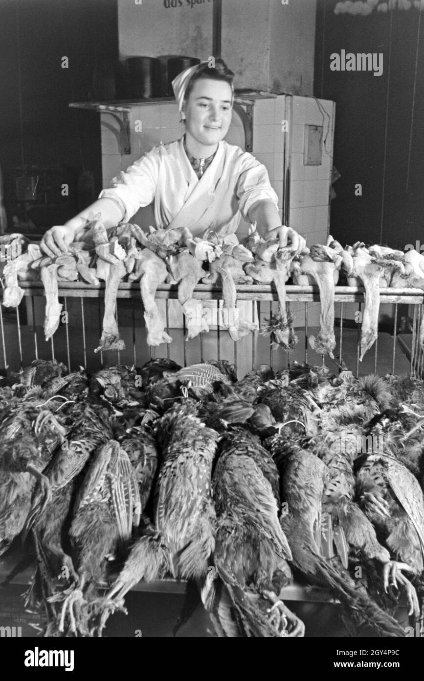 Eine Frau mit frischem Geflügel in der Küche einer Gaststätte, Deutschland 1930er Jahre. A woman with fresh poultry at the kitchen of a restaurant, Germany 1930s. Stock Photo