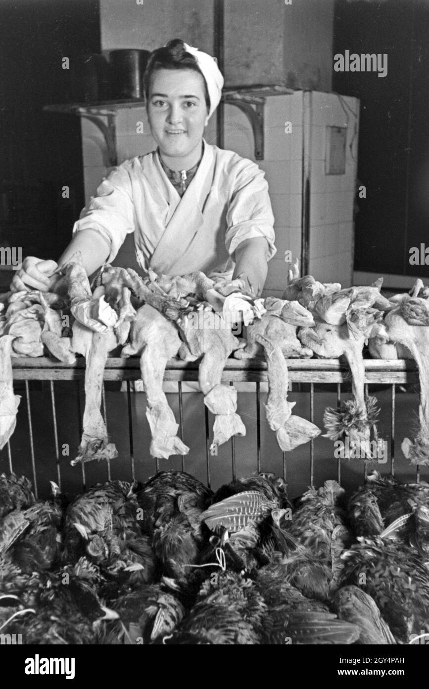 Eine Köchin mit frischem Geflügel in der Küche einer Gaststätte, Deutschland 1930er Jahre. A woman with fresh poultry at the kitchen of a restaurant, Germany 1930s. Stock Photo