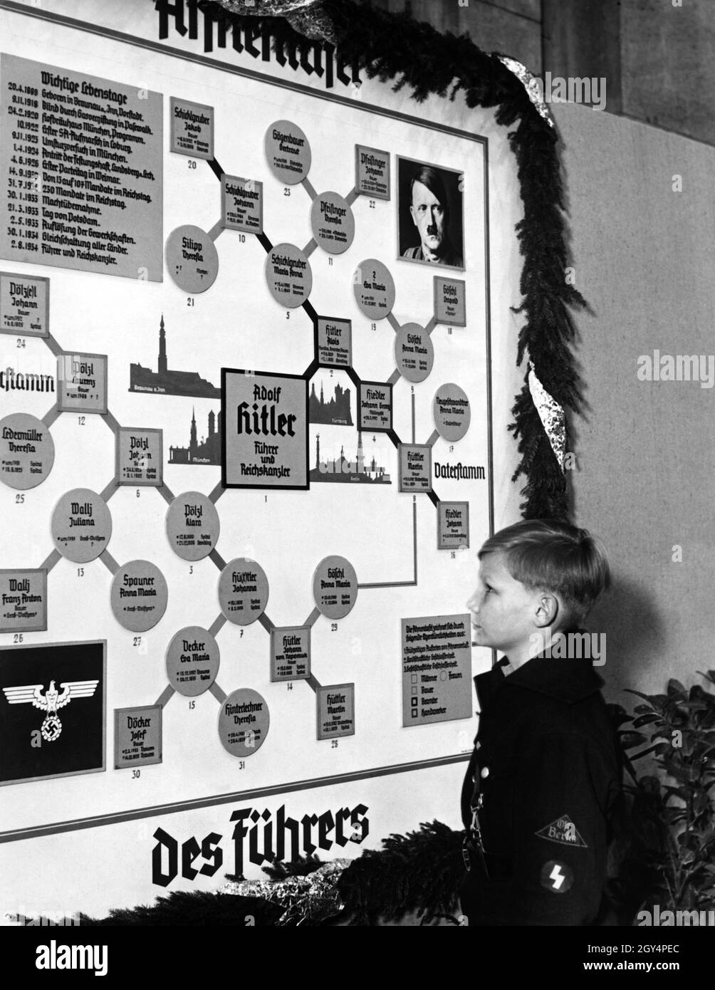 A Pimpf of the Jungvolk looks at a genealogical family tree of Adolf Hitler, with two branches for the parents Alois Hitler and Klara Pölzl. [automated translation] Stock Photo