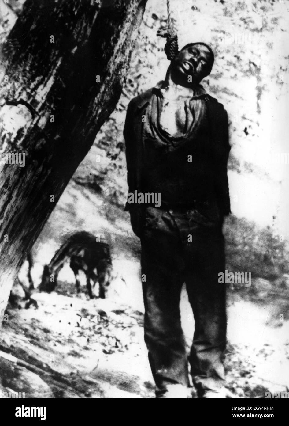 An African American man hanged from a tree in the southern states of the United States. (undated photo) [automated translation] Stock Photo