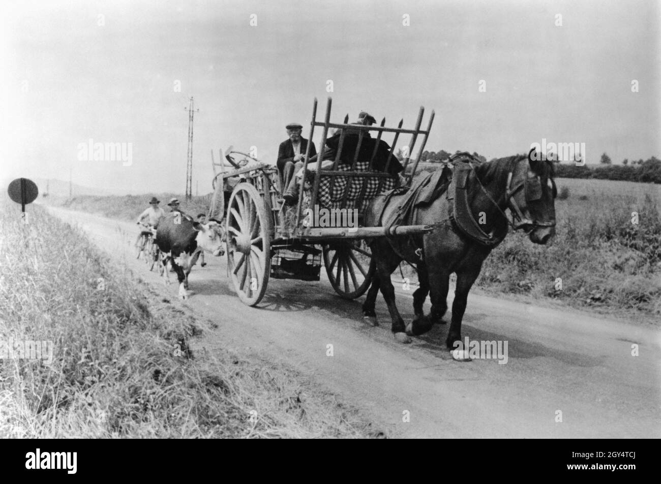 Return of French refugees: Peasants sitting on a horse cart drive on a country road. Next to them run their kitchen. After the armistice with the German Reich, many refugees return to their home villages. [automated translation] Stock Photo