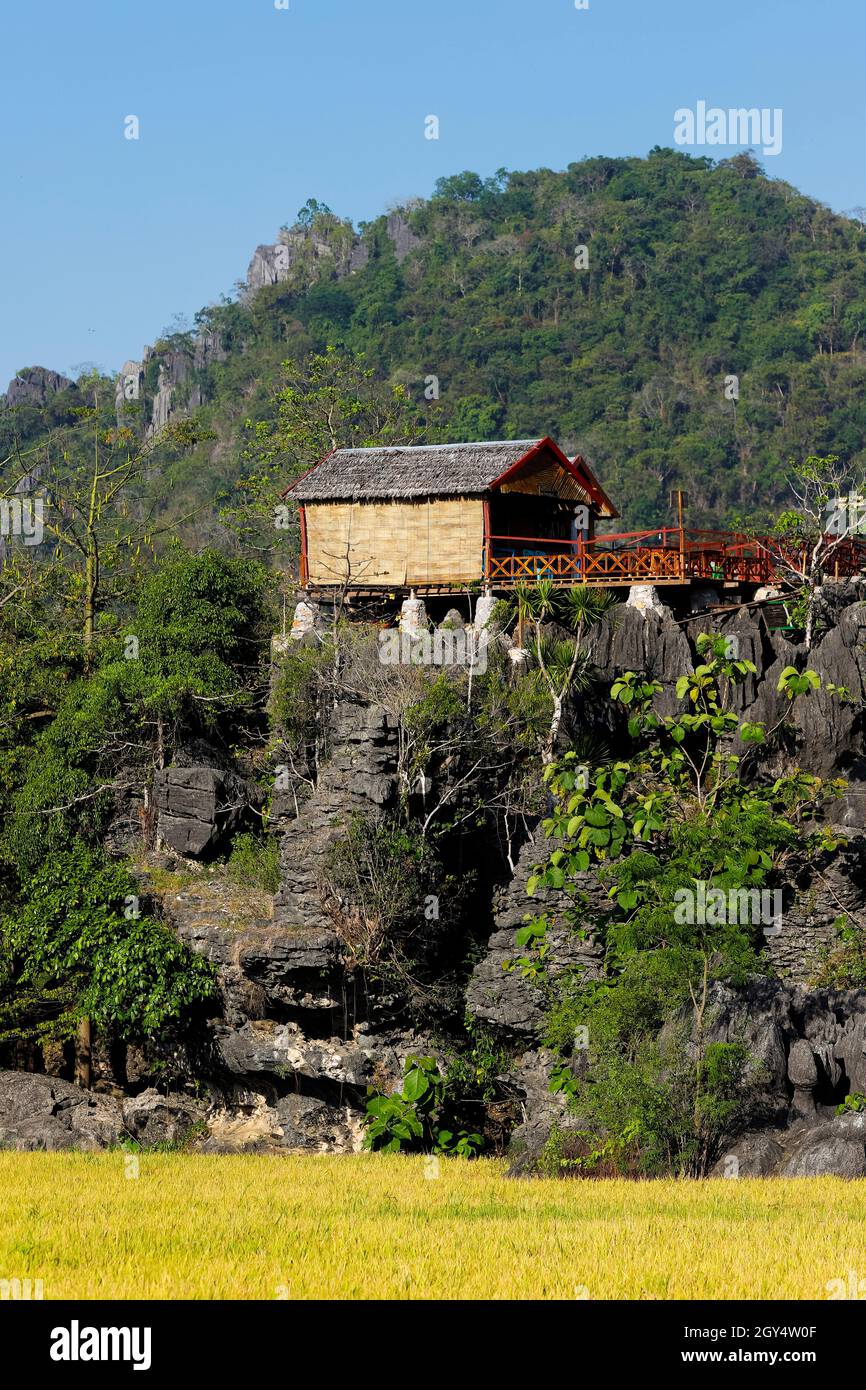 Cafe perched on limestone rock outcrop above rice field in this scenic ...