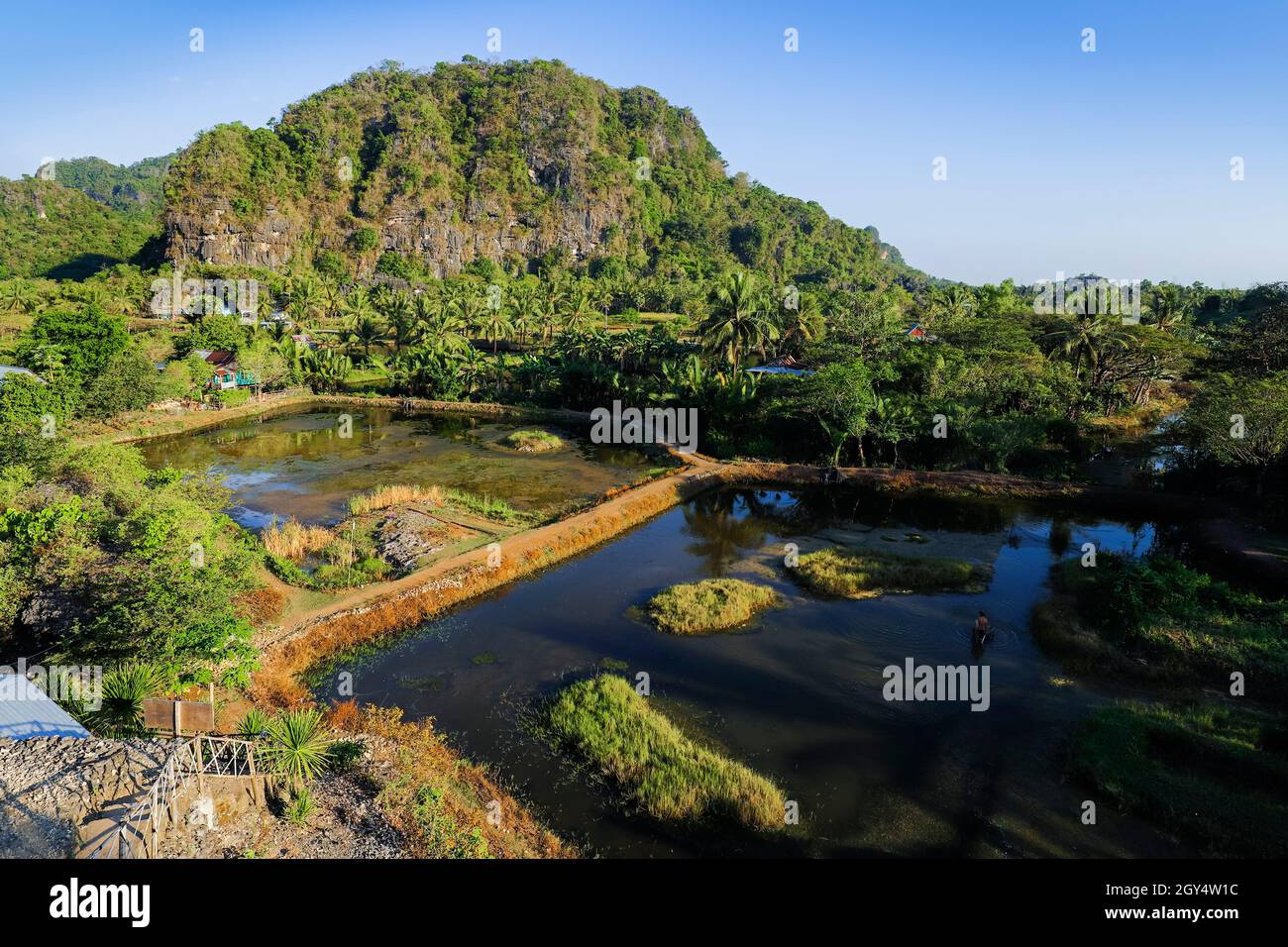 Fish ponds & typical limestone outcrops with palm trees in this scenic