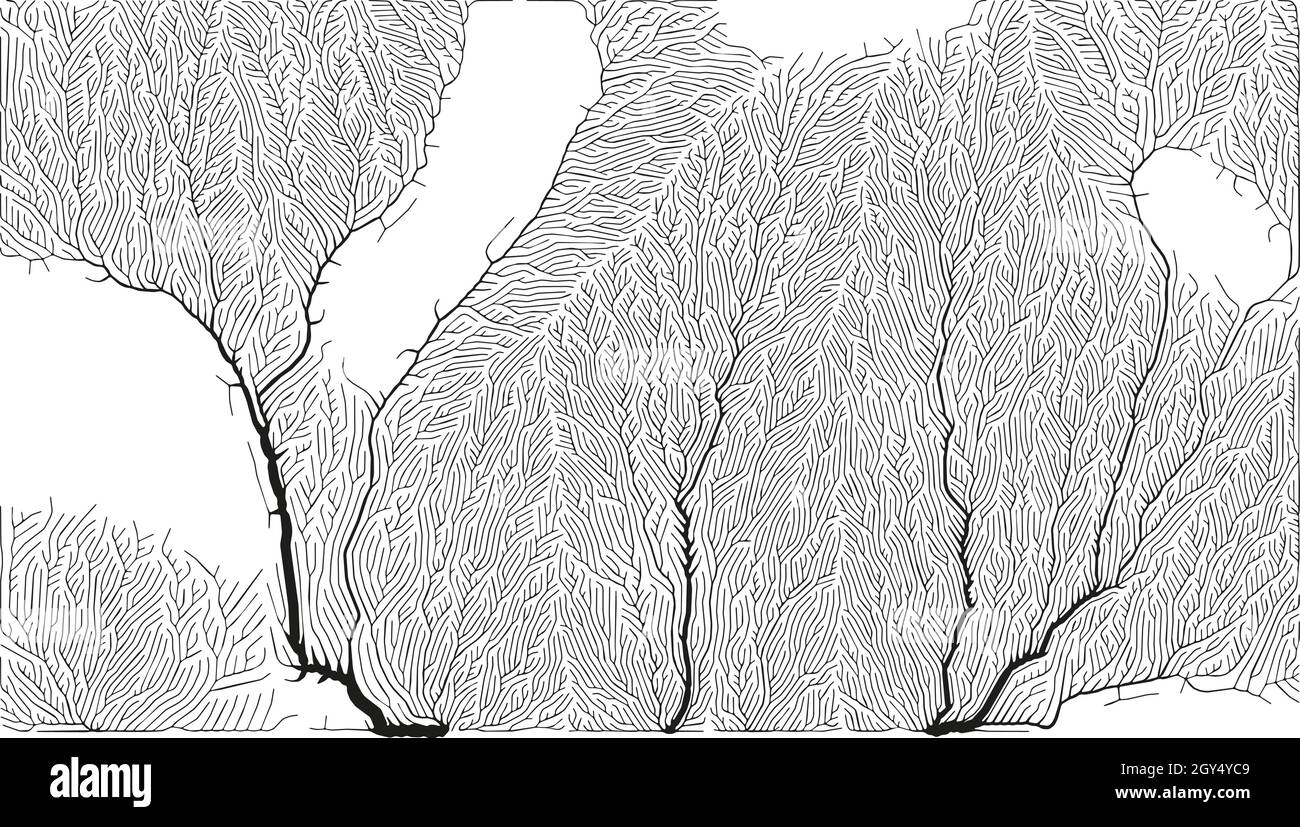 Growth pattern. Generative branching structure. Organic net of vessels ...