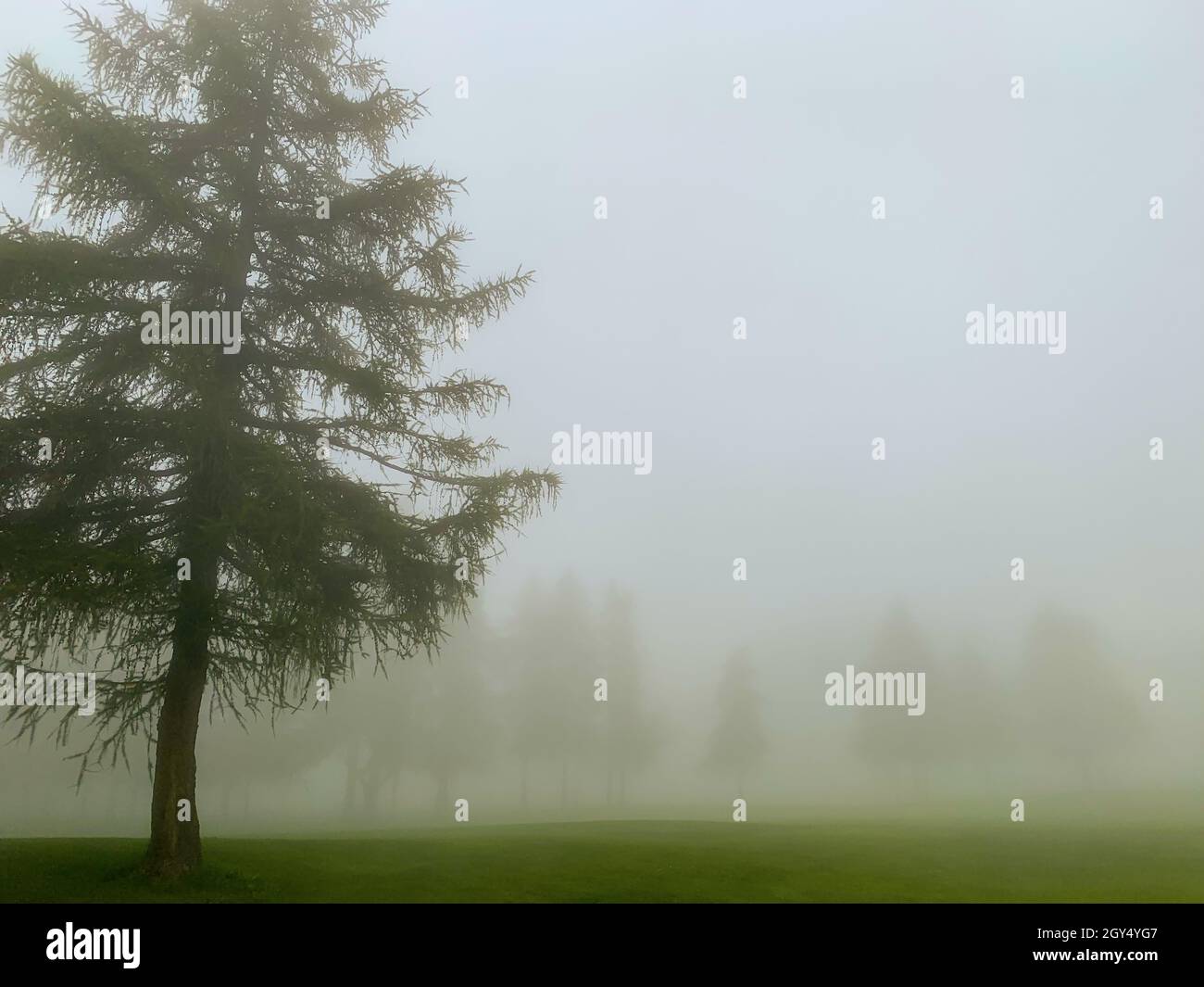 Golf Course with fog in Crans Montana in Valais, Switzerland Stock Photo -  Alamy