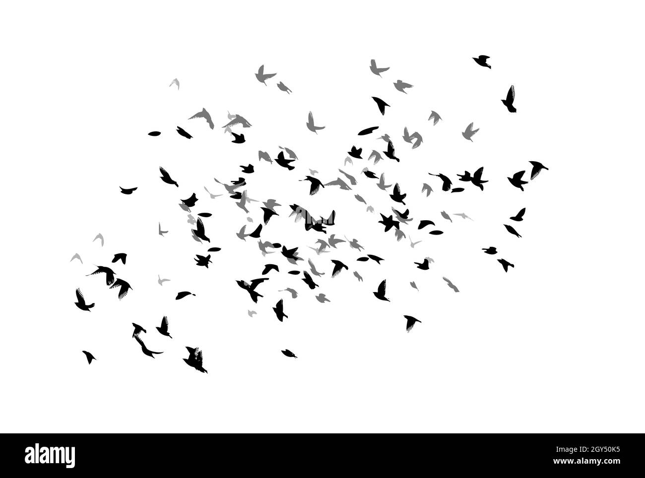 A large flock of flying birds. Free birds. Vector illustration Stock Vector