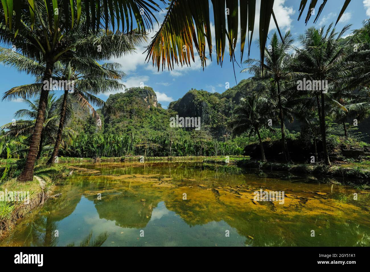 Fish ponds & limestone outcrops at this popular tourist village